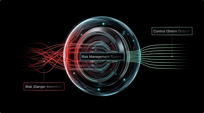 Risk Management System