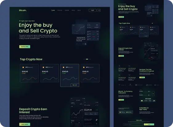 portfolio