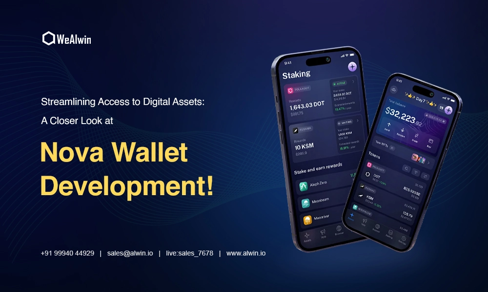 Streamlining Access to Digital Assets: A Closer Look at Nova Wallet ...