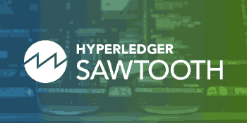 hyperledger-sawtooth-development-team-for-blockchain-business