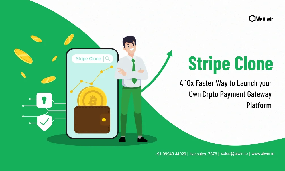 stripe-clone-script