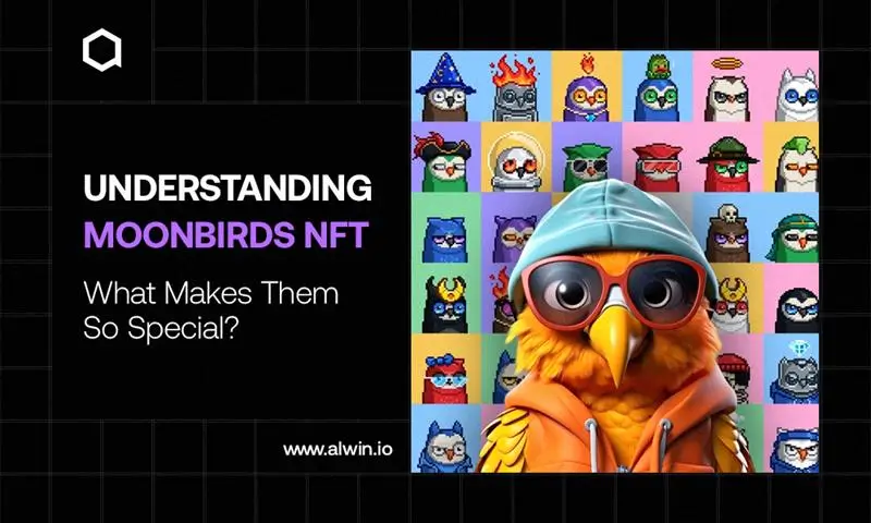 what-is-moonbirds-nft